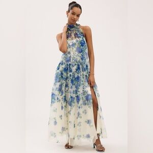 BHLDN Kendall High-Neck Scarf Floral Organza Maxi Dress